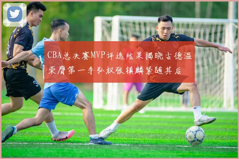 CBA总决赛MVP评选结果揭晓古德温荣膺第一李弘权张镇麟紧随其后